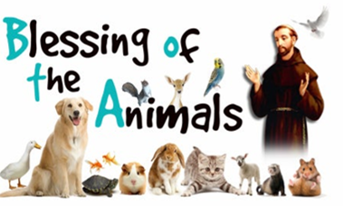 animal pic